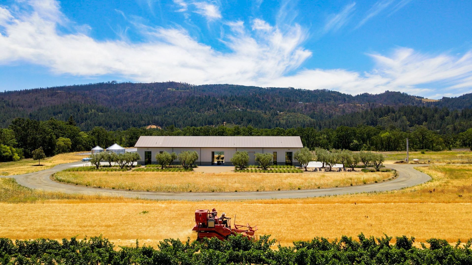 Napa Valley’s Heirloom Grain Harvest 2021